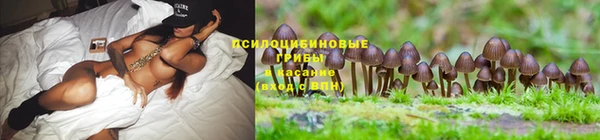 марки lsd Новодвинск